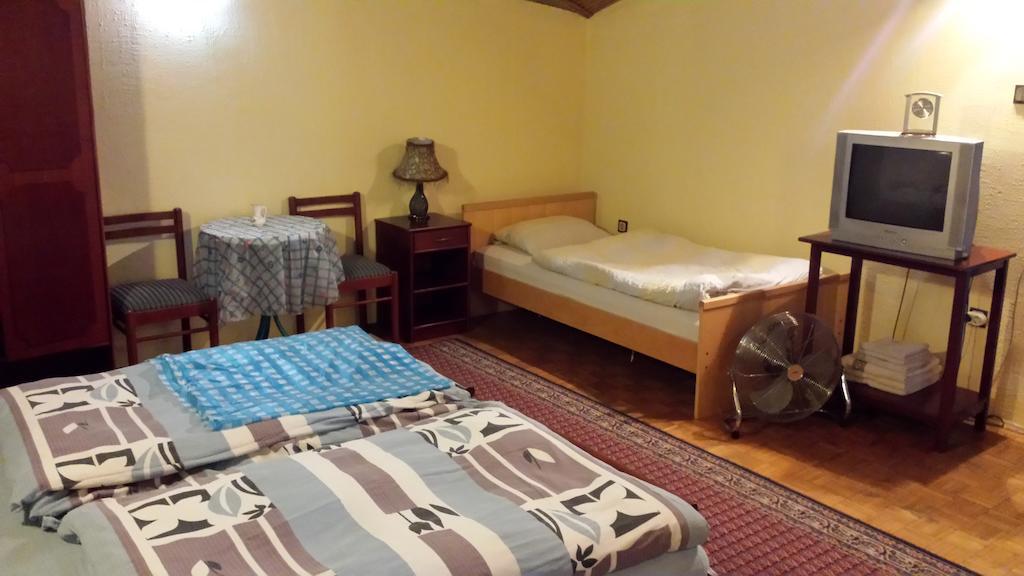 Guest House Gaja Novi Sad Værelse billede